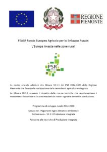 FEASR Fondo Europeo Agricolo per lo Sviluppo Rurale (1)_page-0001 (1)